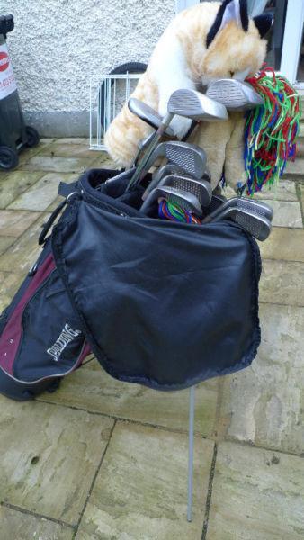 Ladies golf clubs & bag - barely used