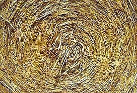 Hay For Sale - OK Quality - €30 per Bale