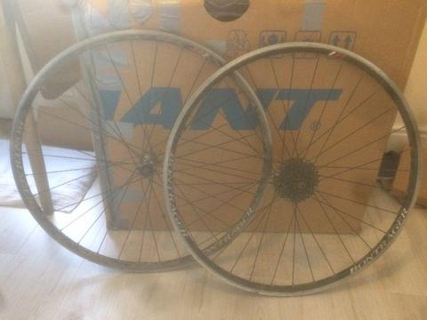 Cheap set of Bontrager bike wheels with 9 speed Tiagra casette