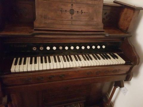 Antique organ