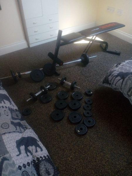 gym equipment weights weight lifting