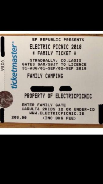 Electric picnic ticket hard copy