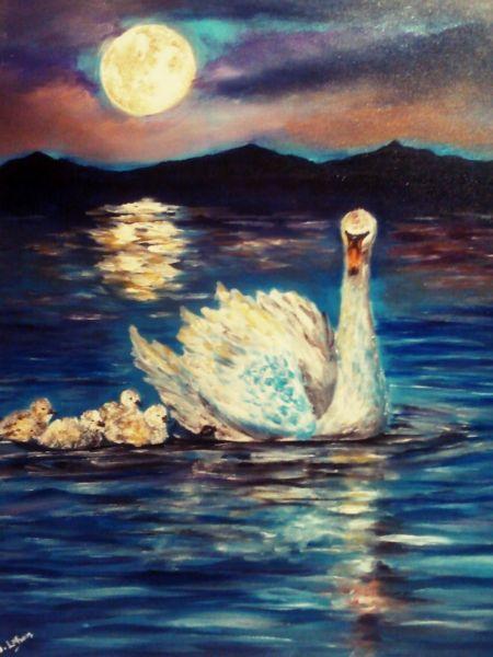 Swan lake by night