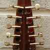 Cittern 10 string in Perry style Dublin 1777 