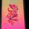 iPhone 7 Plus 32GB Rose Gold (3 Network) 