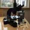Leitz Ortholux Microscope 