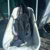 Buggy with car seat and bouncing chair 