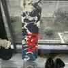 Snowboards - Good condition  