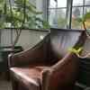 Designer luxury leather chairs 