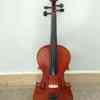 3/4 size Violin for sale - New 